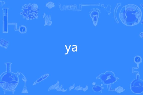miya英语发音截图