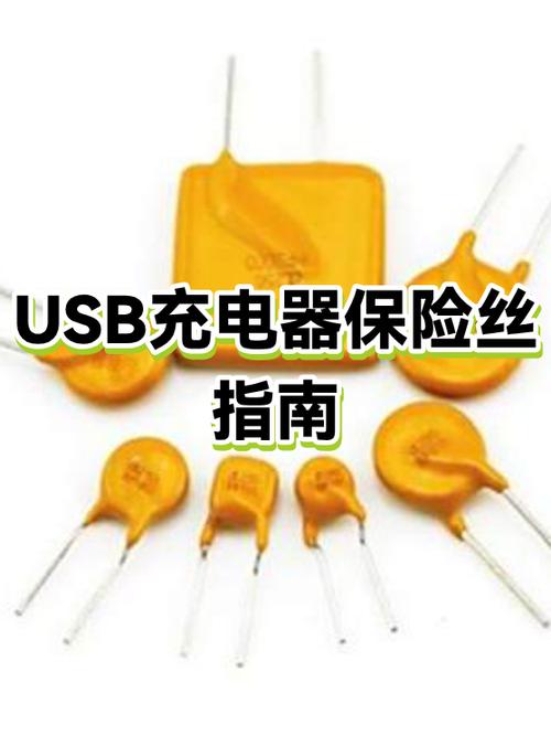 充电器保险丝图片