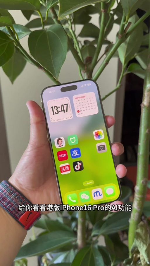 苹果16面容识别不了怎么办