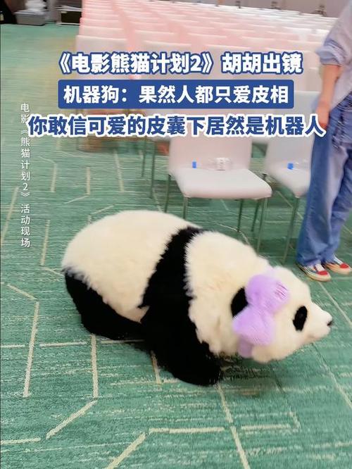 熊猫繁殖计划