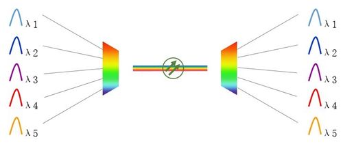 wdm的中文全称截图