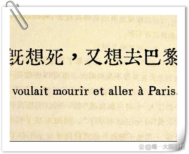 女生说巴巴罗萨暗示什么