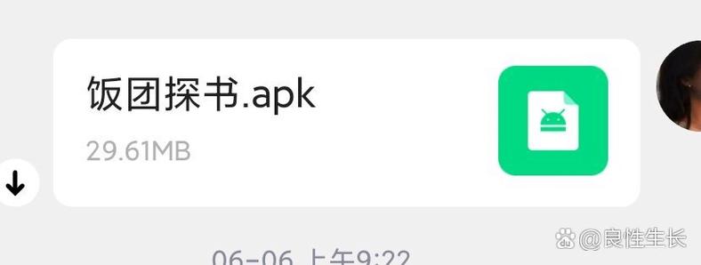 饭团探书在线阅读图标