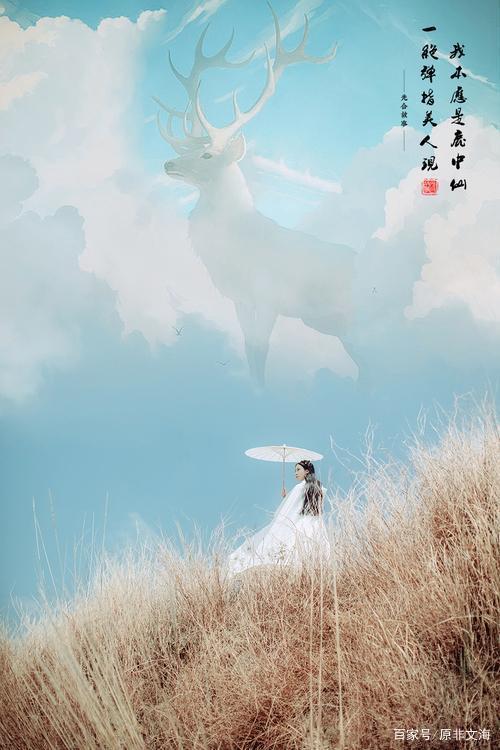 形容青春年华转瞬即逝的诗句截图