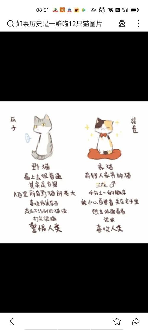 呜喵小说合集截图
