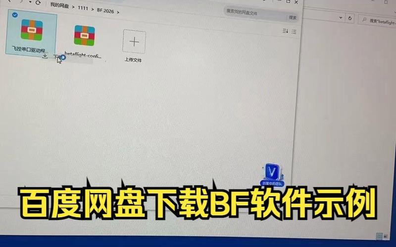 bf是什么软件