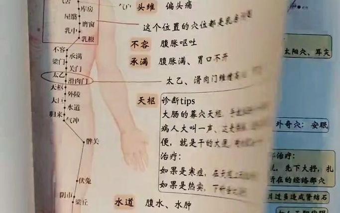 倪海厦针灸大成笔记26