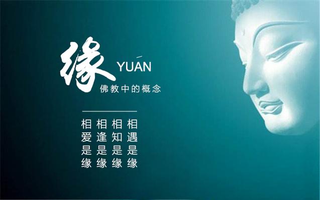 缘分 缘份