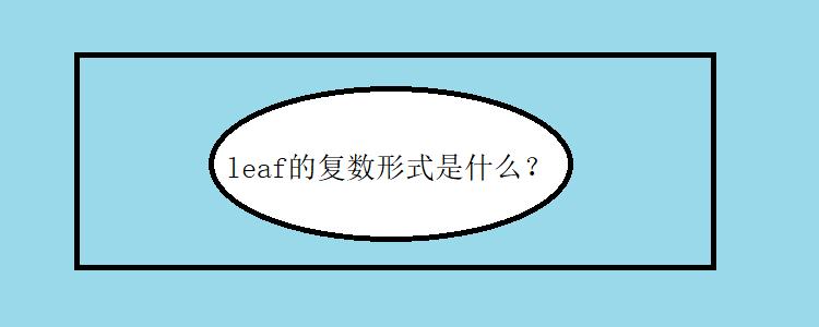 leaf的复数形式