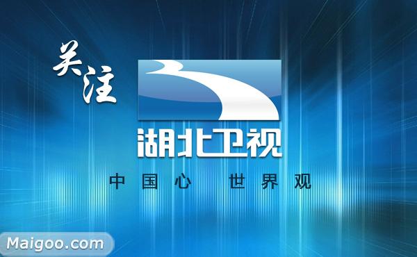 湖北电视台下载安装