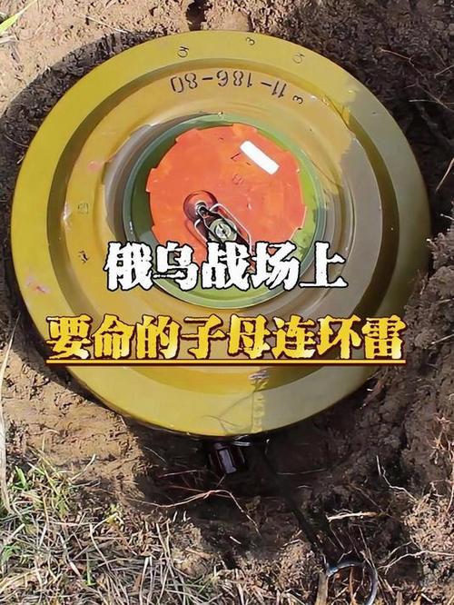 子母连环雷是什么