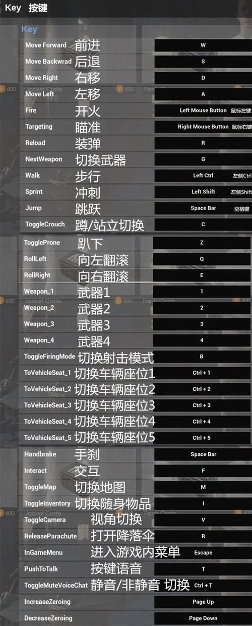 吃鸡怎么切换中文
