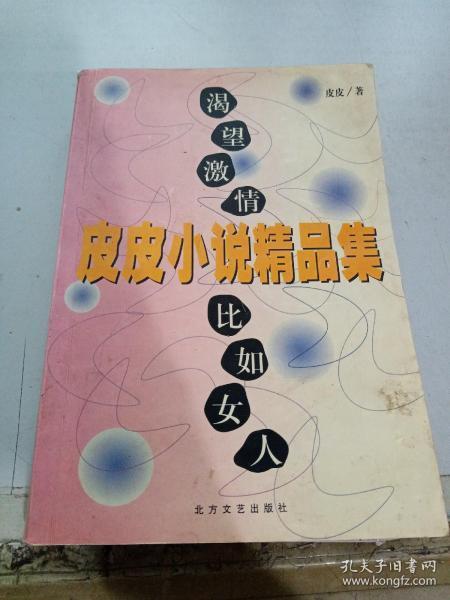 皮皮小说网缩略图