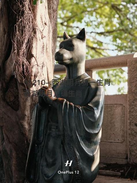 西湖明月是什么生肖