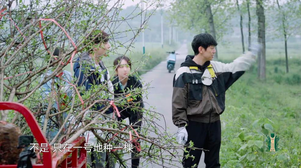 向往:从路人到天王巨星截图