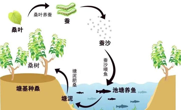 纪检一般查6年前的流水吗