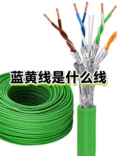 两根黄线一根蓝线都是什么线缩略图