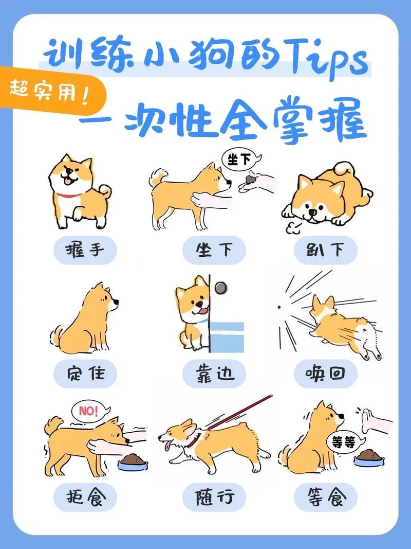 野良犬的新手攻略