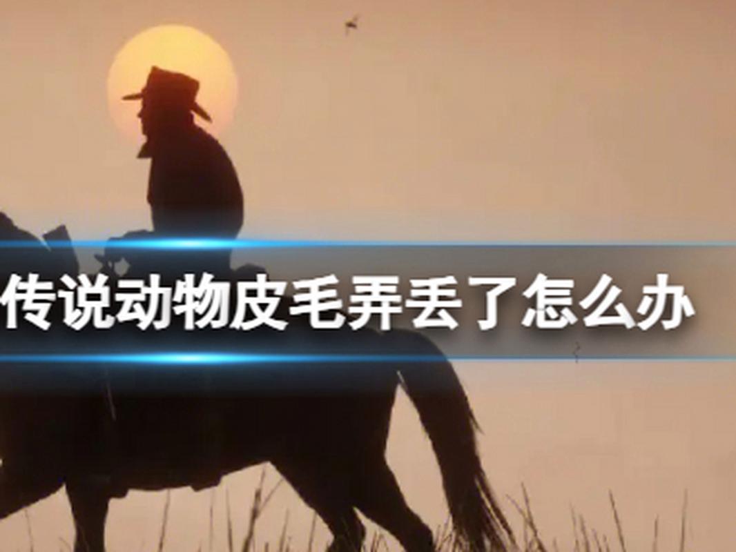大镖客2传说动物皮给谁