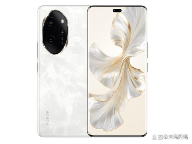 荣耀100pro主题下载截图