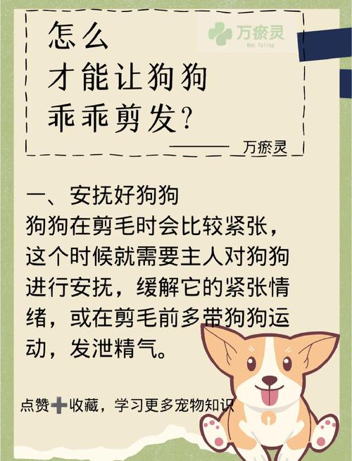 狗剪毛的十句口诀