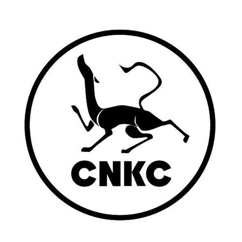 中细软商标官网入口图标