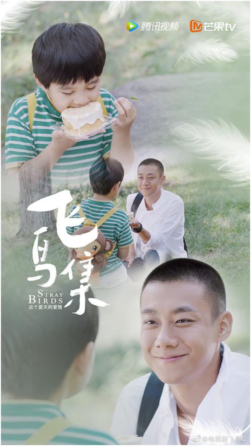 电视剧飞鸟集免费观看
