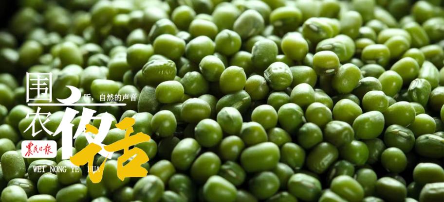 微云豆