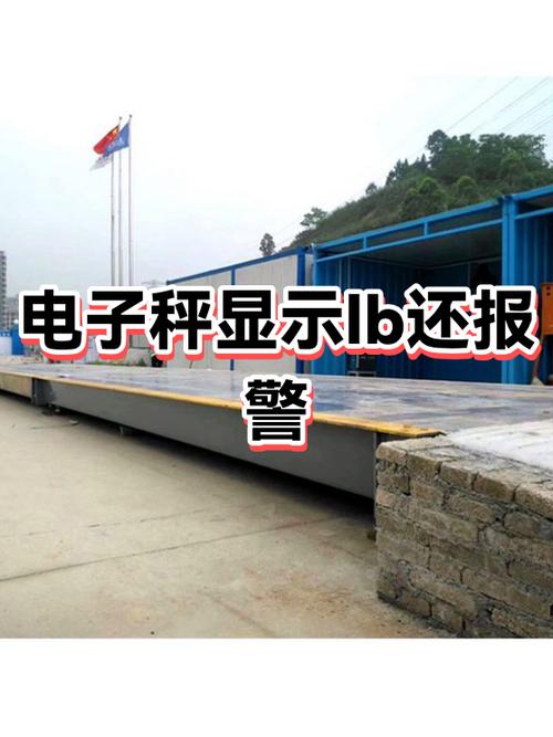 电子秤显示lb还老是叫