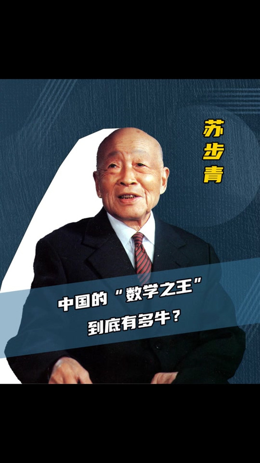 中国数学之王