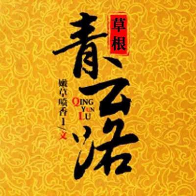 小说《草根青云路》