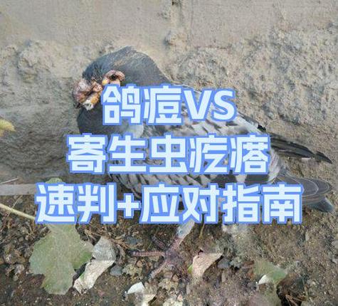明日之后怎么从半感染者变成人类