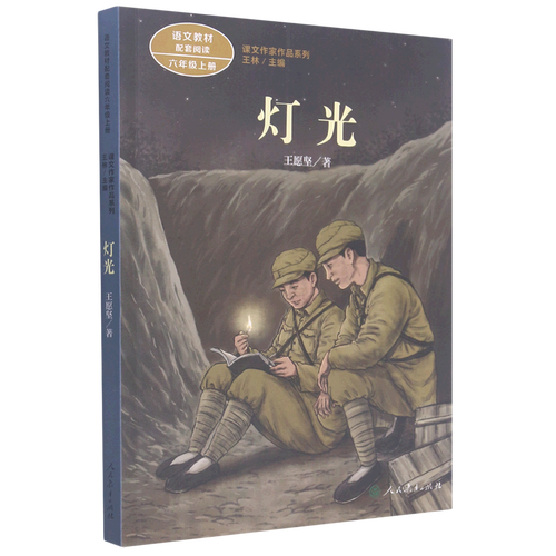 就像灯光来吻你的小说