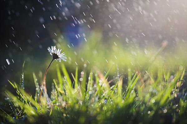 晴雨