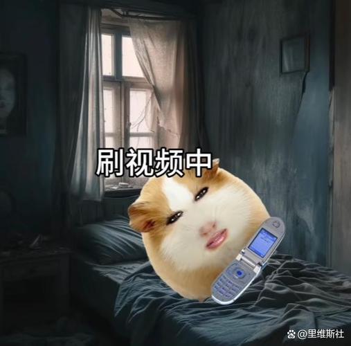 最近最火的梗流行语