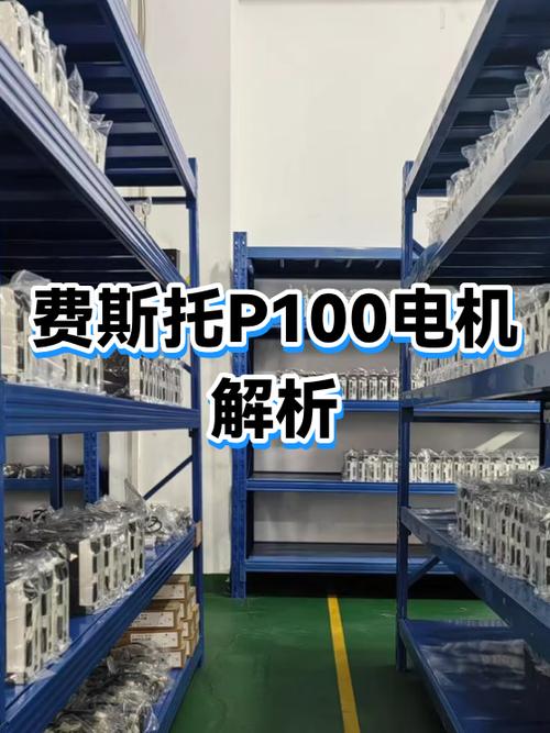 p100是什么意思