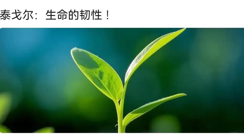 人死了有啥办法复活