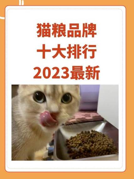 没猫粮了猫饿两天没事吧游戏截图