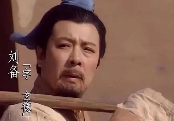对刘备的评价100字