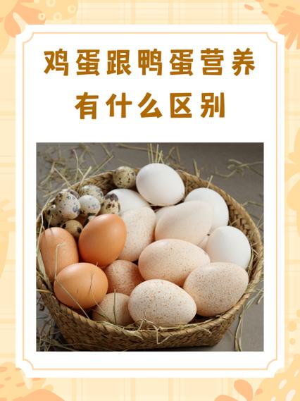 鸭蛋和鸡蛋有什么区别
