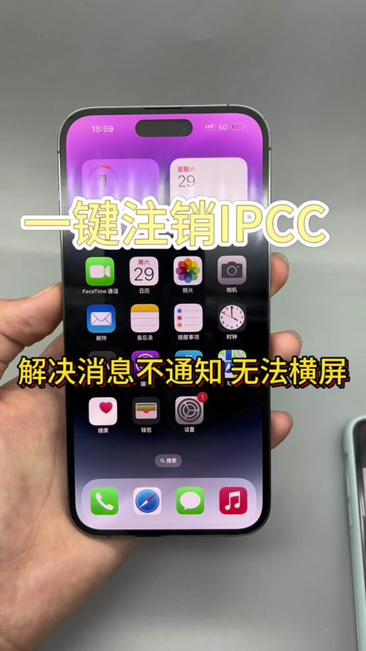 苹果的翻转屏幕设置缩略图