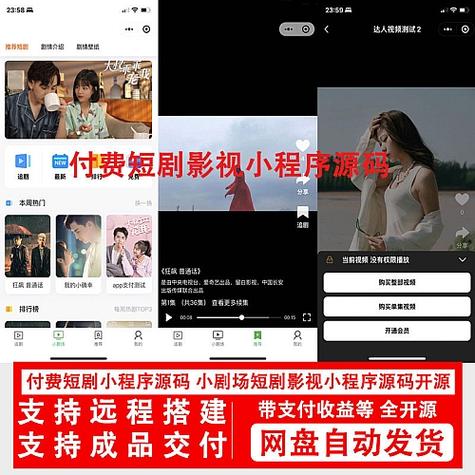 影视源码截图