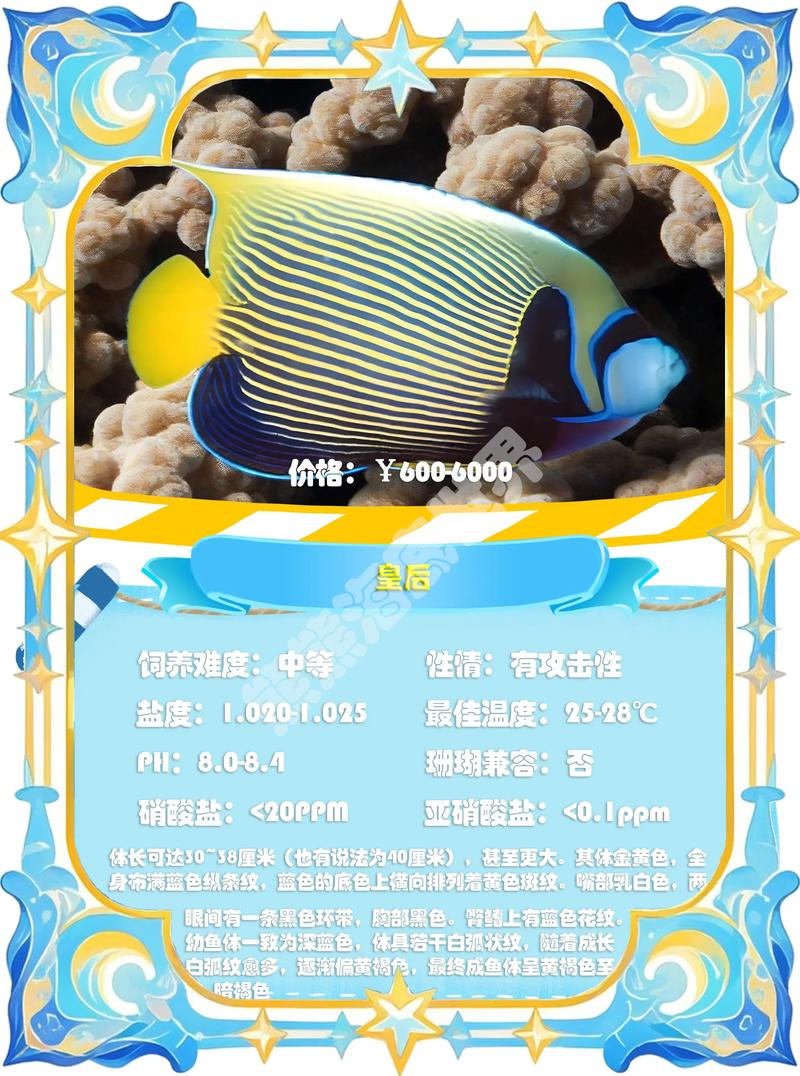 飞天鱼三部曲是哪三部