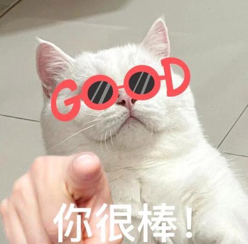 赞美的图片表情图片截图