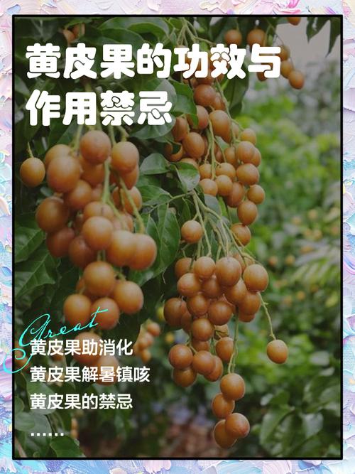 黄皮子怕什么味道