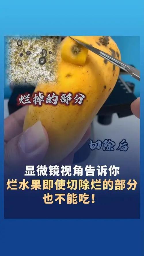 水果烂掉了为什么不能吃