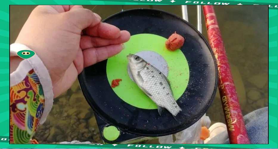 无铅漂怎么选择吃铅量?