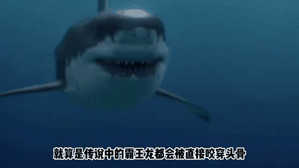 泰拉瑞亚锯齿鲨