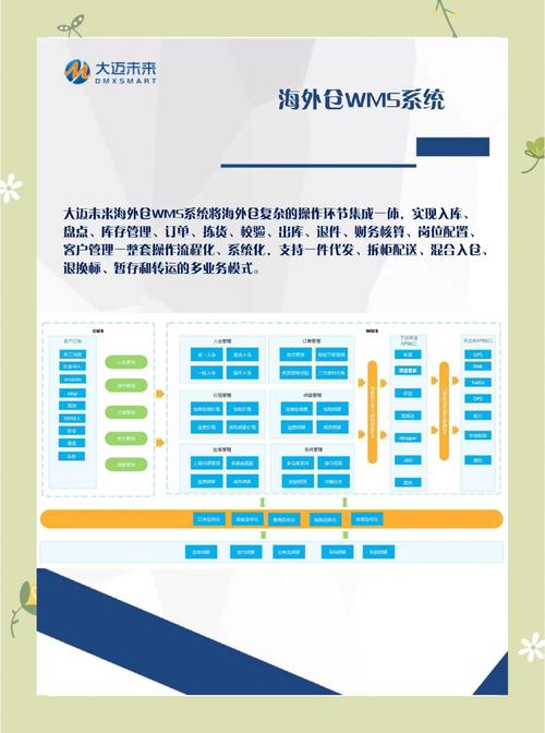 次元仓怎么运营的