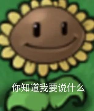 向日葵表情包图片